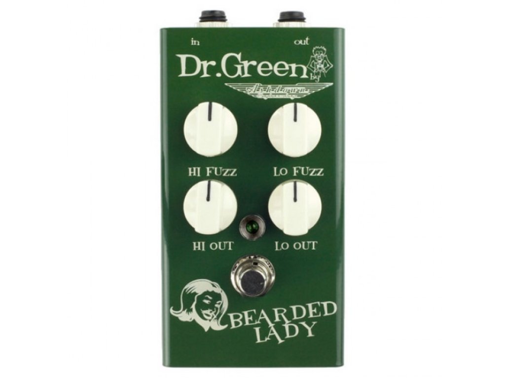 Bearded Lady