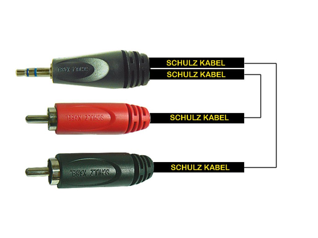 S-RCA31
