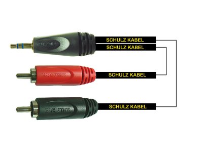 S-RCA31