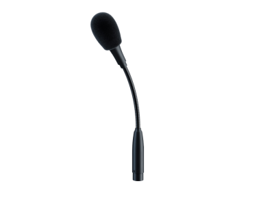 Mic 1